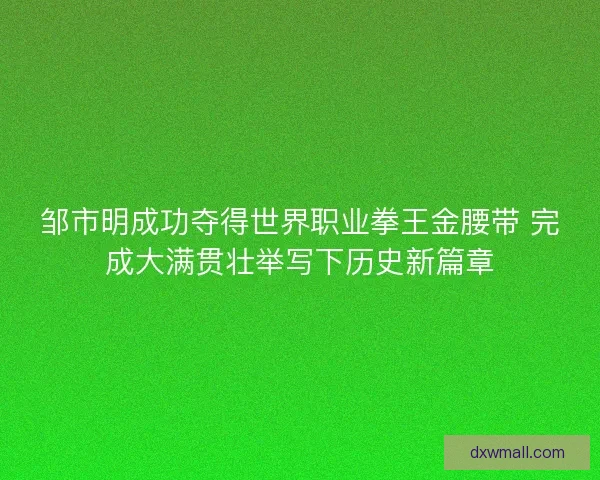 邹市明成功夺得世界职业拳王金腰带 完成大满贯壮举写下历史新篇章